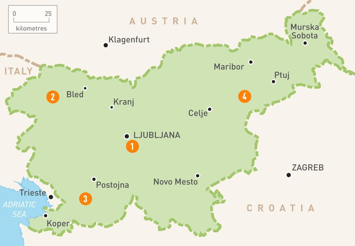 Carte des régions de la Slovénie